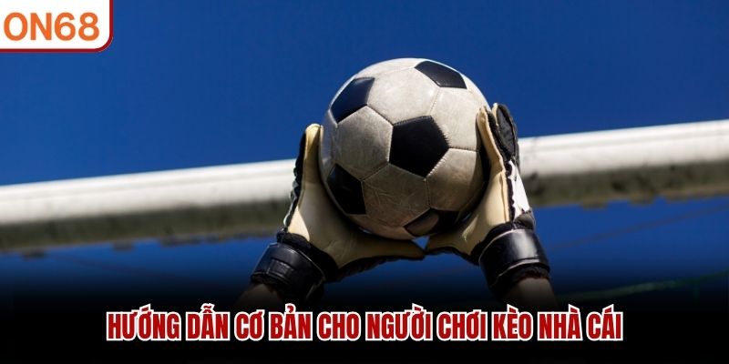Hướng dẫn cơ bản cho người chơi kèo nhà cái